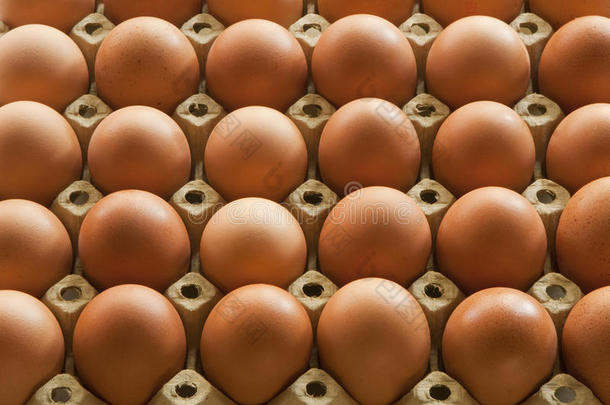 鸡蛋纸箱包装多鸡蛋