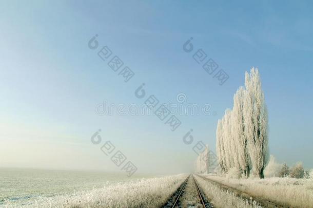 冰封树木和雪原的冬季景观