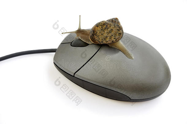 蜗牛按鼠标键。