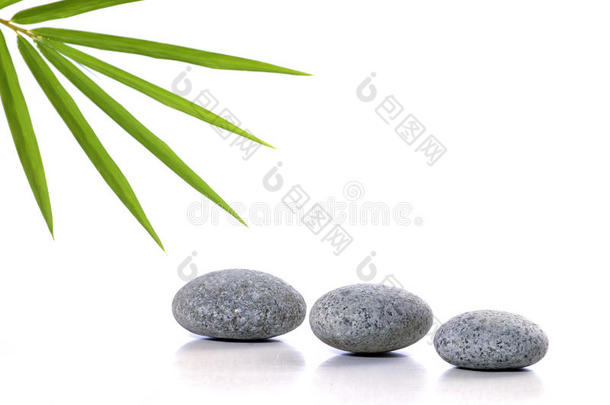 石头和竹叶