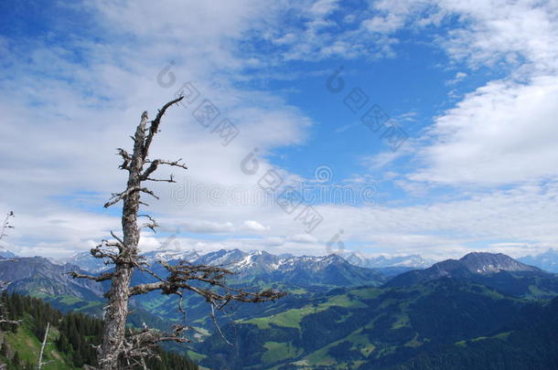 瑞士阿尔卑斯山