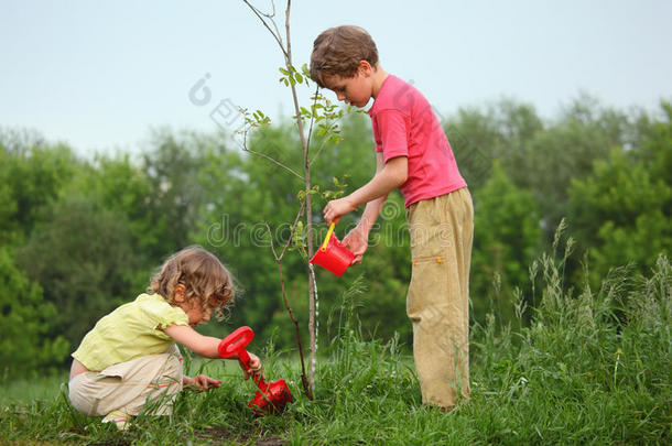 孩子们种树