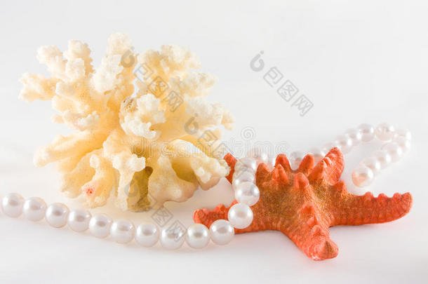 珊瑚、海星和珍珠绳