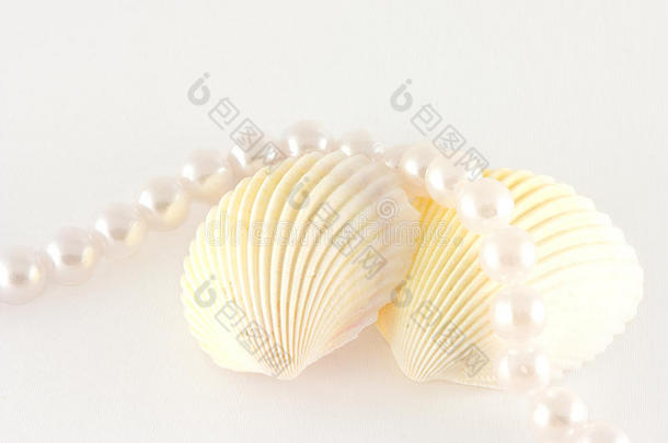 贝壳和珍珠绳