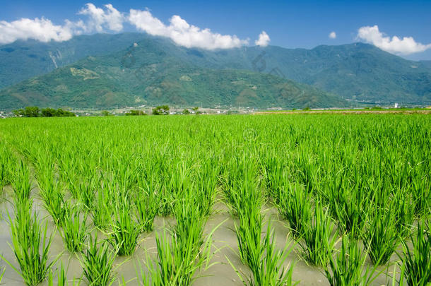 亚洲山清水秀农场