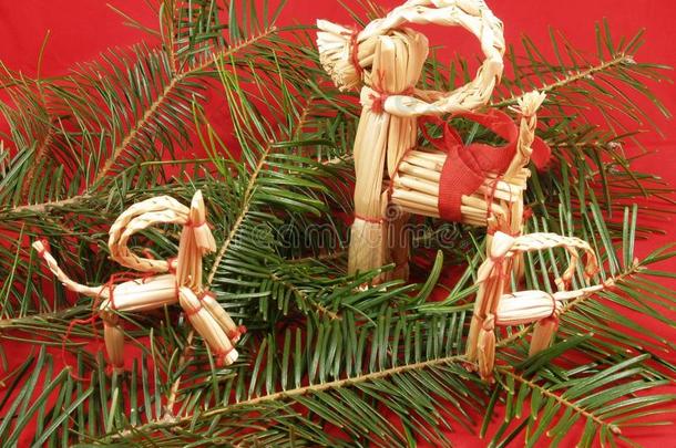 大树枝树枝分支圣诞节装饰