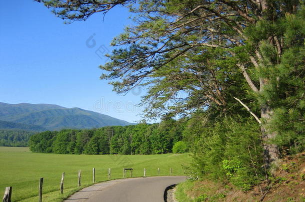 蜿蜒穿过凯德湾的狭窄道路