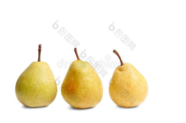 成熟的黄色梨子和白色的。