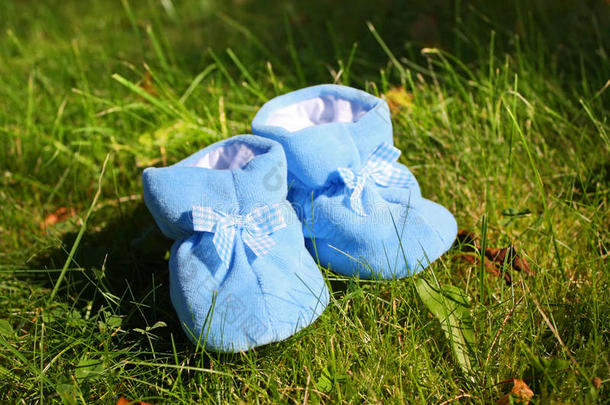 草地上的小靴子