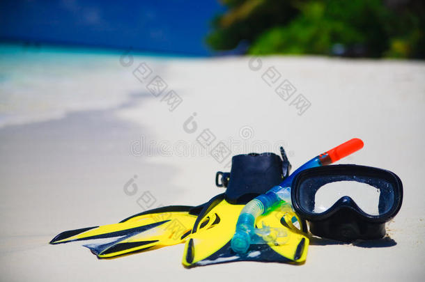 沙滩带鳍潜水面罩