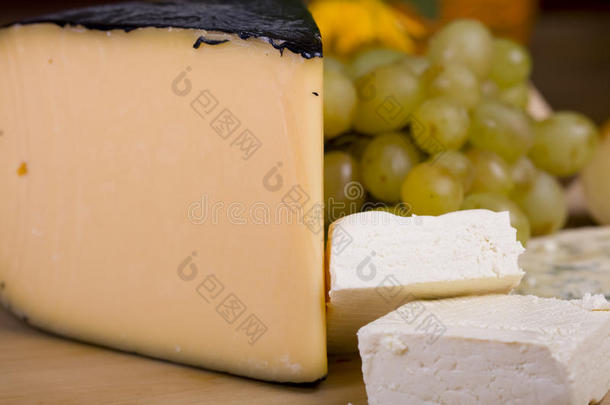 奶酪精选