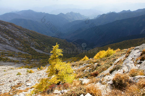 太白山风光