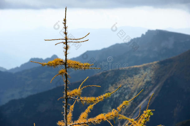 太白山风光