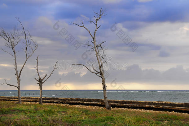 <strong>风雨</strong>交加的海滨风景