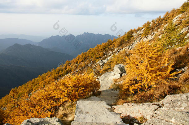 太白山风光