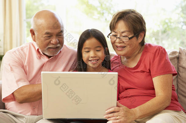 祖父母和祖父使用笔记本电脑