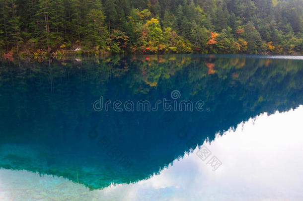 九寨沟森林湖泊景观