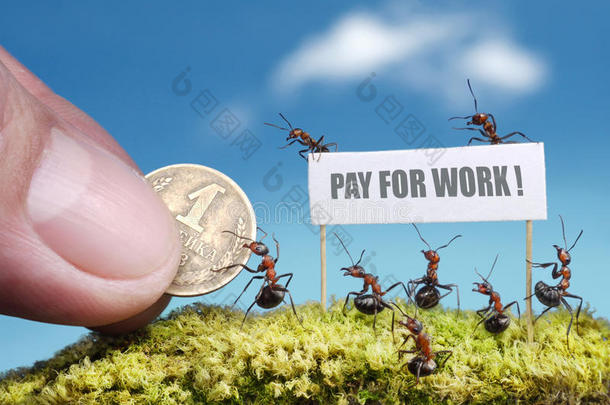 蚂蚁要求工作报酬
