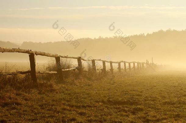 日出时在雾蒙蒙的田野上的田园诗般的篱笆