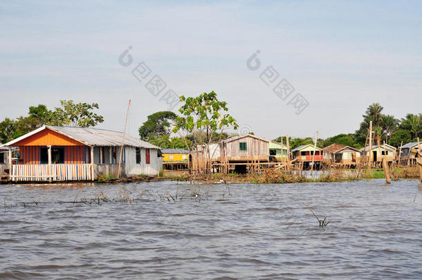 亚马逊河漂浮和高跷典型房屋（亚马逊河）