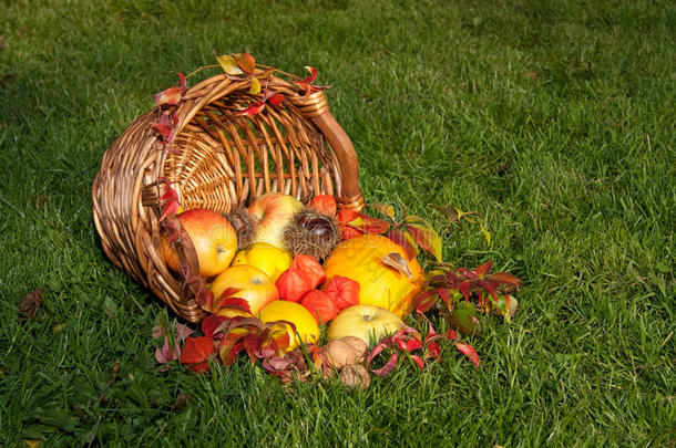 感恩节-五颜六色的水果秋篮