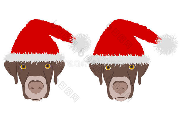头戴红色圣诞老人帽的狗头