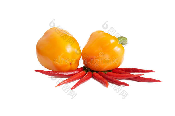 白底两黄的小红椒
