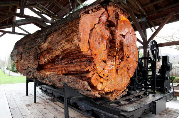 史努考米的大木头