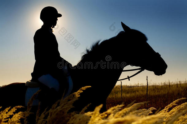 骑师和马的轮廓