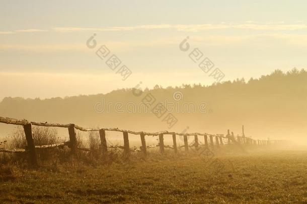 日出时在雾蒙蒙的田野上的田园诗般的篱笆