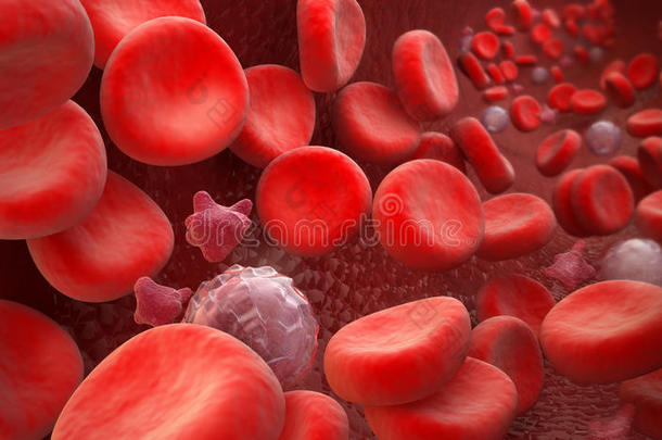 血细胞：红细胞、血小板、白细胞