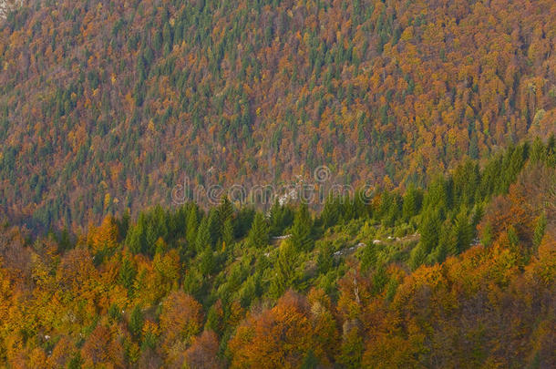 山清<strong>水秀</strong>秋叶