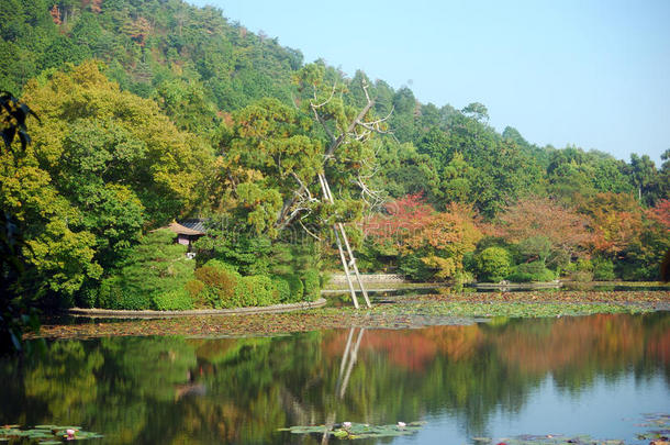 日本京都瑞安寺的湖