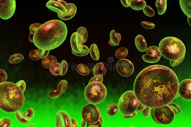 绿色血细胞
