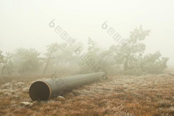 林间空地上的烟斗