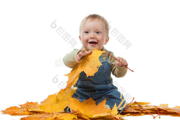 小男孩和黄色的秋叶。