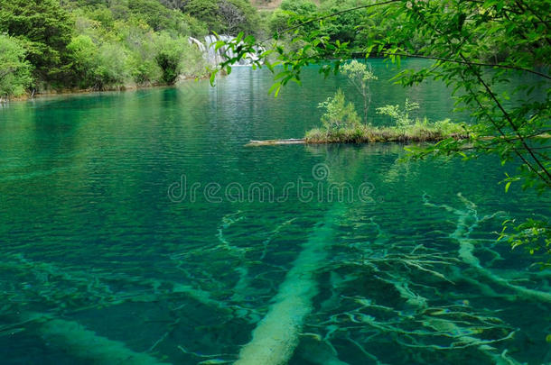 魔镜湖森林