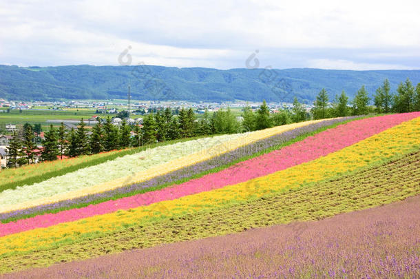 花田