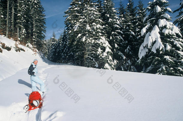 雪地里拉雪橇<strong>的</strong>女人