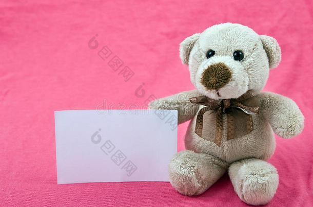 粉色背景白色布告的泰迪熊