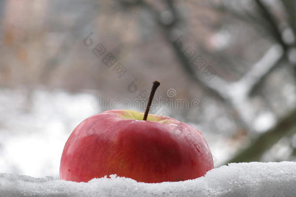 雪中送炭