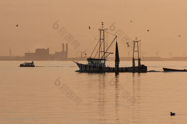 日落归来的荷兰渔船
