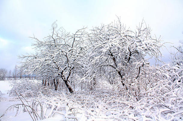 雪中送炭