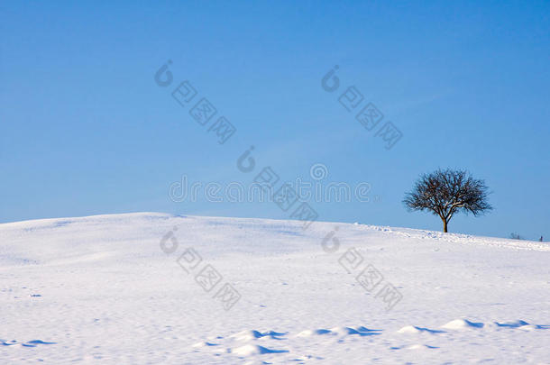 冬季景观与文案空间