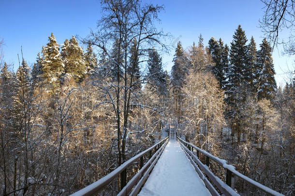 积雪覆盖的人行天桥。全景。