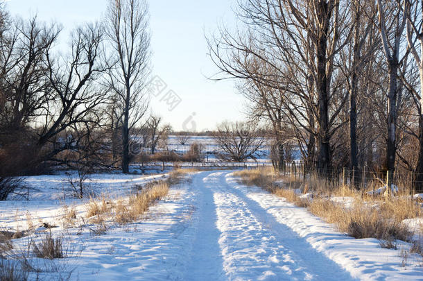 <strong>小雪</strong>路向右转弯