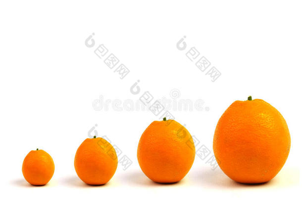 橙色四重奏