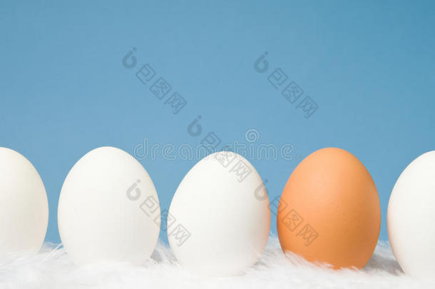 白鸡蛋和一个棕色鸡蛋排成一排，蓝色b