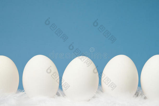 蓝底白鸡蛋排成一排