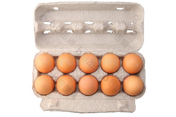 保护壳中的鸡蛋